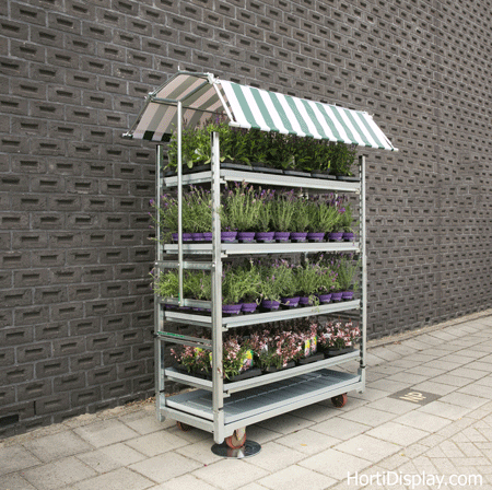 Completo mostrat para flores y plantas